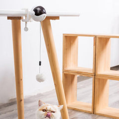 Lifting Motion Cat Toy