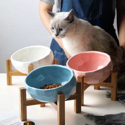 Purr-fect cat bowl