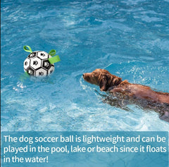 Dog Interactive Football