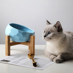 Purr-fect cat bowl