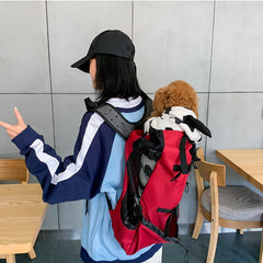 Dog Outdoor Backpack